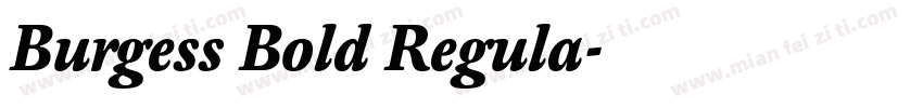 Burgess Bold Regula字体转换